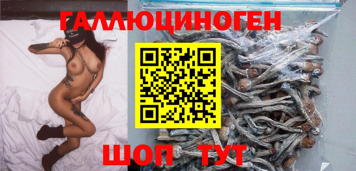 Галлюциногенные грибы ЛСД Красноярск
